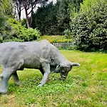 Bovari - Appia Antica Lodge *