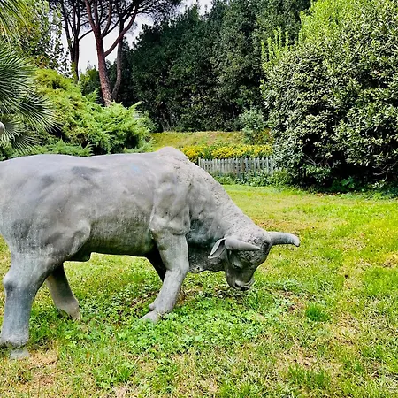 Bovari - Appia Antica 山林小屋 *